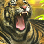 Odisha reconstitutes State Board for Wildlife