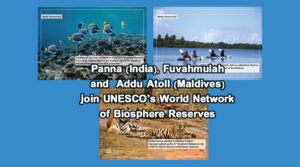 Panna (India), Fuvahmulah and Addu Atoll (Maldives) join UNESCOs World Network of Biosphere Reserves